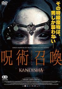 ��p�����^�J���f�B�V��