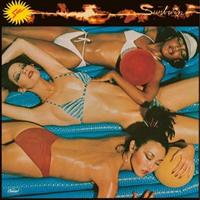 �T���o�[��