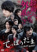 てっぽうだま　ＳＴＲＡＹ　ＢＩＲＤのサムネイル画像