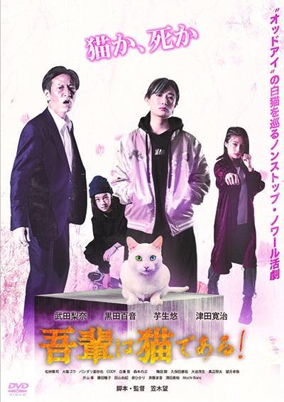 吾輩は猫である！ | 宅配DVDレンタルのTSUTAYA DISCAS