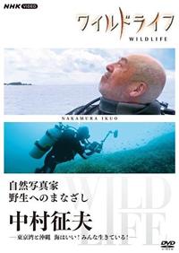 ���C���h���C�t�@���R�ʐ^�Ɓ@�쐶�ւ̂܂Ȃ����@�������v