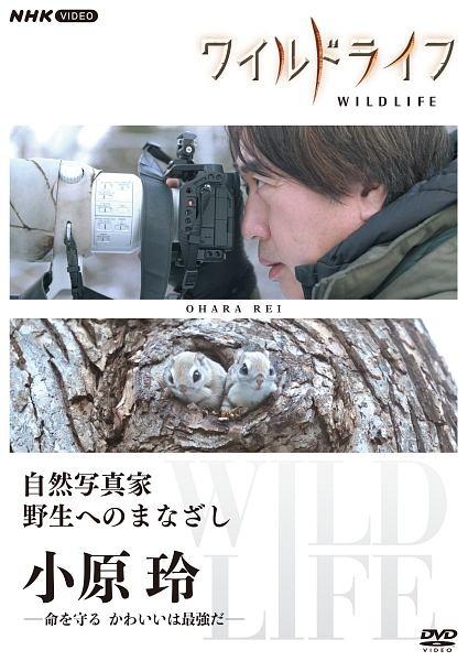 nhk life 人気 dvd レンタル