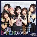 BAKENOKAWA