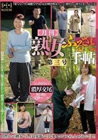 月刊　熟女ふるさと手帖　第３号の画像