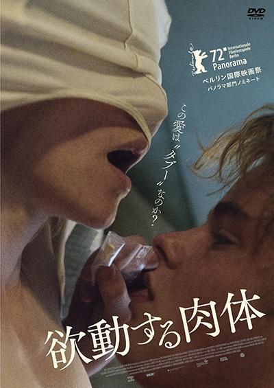 欲動する肉体の画像