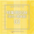 NTVM Music Library WpBGM02(邢Ǌy)