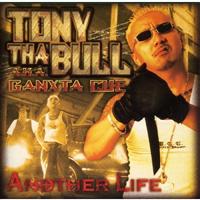 Another Life
