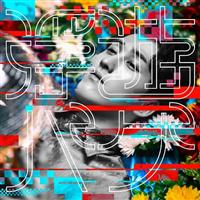 ���V�o�O(�ʏ��)