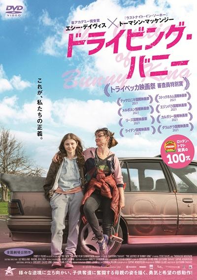 ドライビング・バニーのサムネイル画像