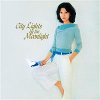 City Lights by the Moonlight