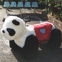 �yMAXI�z�܂���/THE SONG(����d�l�����)(�}�L�V�V���O��)