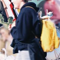 �p�O�X�̒���