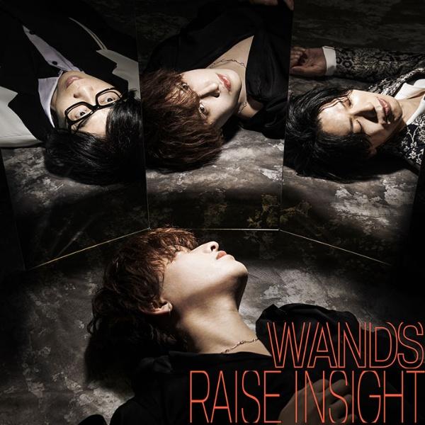 MAXI】RAISE INSIGHT(名探偵コナン盤)(マキシシングル) | 宅配CDレンタルのTSUTAYA DISCAS