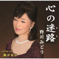 �yMAXI�z�S�̖��H/�z������(�}�L�V�V���O��)