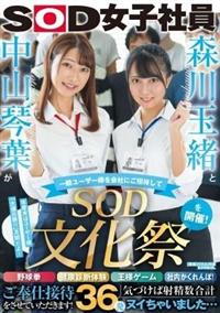 森川玉緒と中山琴葉が一般ユーザー様を会社にご招待して　ＳＯＤ文化祭　を開催！　野球拳・健康診断体験・王様ゲーム・社内かくれんぼ！ご奉仕接待をさせていただきます！の画像