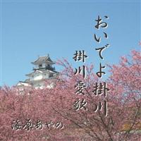 �yMAXI�z�����ł�|��/�|�숤��(�}�L�V�V���O��)