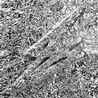 �V�����@�[