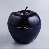 �O�����n�C�u���b�h