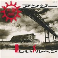 �V���������w��