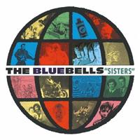 �V�X�^�[�Y:�f���b�N�X�E�G�f�B�V����