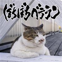 �ڂ��ڂ��x�e����