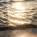 Seaglow
