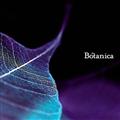 Botanica