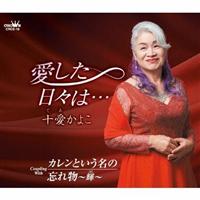 �yMAXI�z���������X�́c(�}�L�V�V���O��)