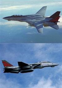 �e�|�P�S�`�@�g���L���b�g�@�t�@�C�i��