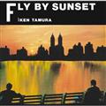 FLY BY SUNSET