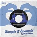 Sample & Example by Hi Records