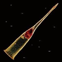 �����f�B�[�Y�E�I�u�E�A�g�[�������g