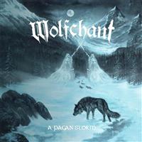 �A�E�y�C�K���E�X�g�[��