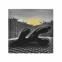 ���R�ƃR���s���[�^�[(Nature and Computers)