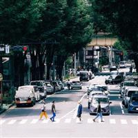 The Ordinary Road(�ʏ��)