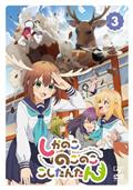 私、能力は平均値でって言ったよね! DVD 全6巻 全巻セット