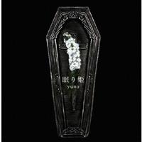 ����P(DVD�t)