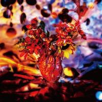 �s�����̃R���\�� - �h�N�h�N���ł����w���|�b�v�̐S�� -