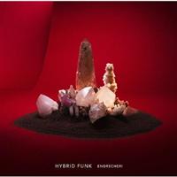 HYBRID FUNK(�ʏ��)
