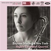 �׃T���E���[�`���E�C���E�j���[���[�N(HYB)