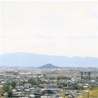 �yMAXI�z����������(�ʏ��)(�}�L�V�V���O��)