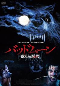 �o�b�h���[���@�Ԍ������T�j