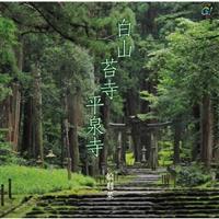 �yMAXI�z���R�ێ�����(�}�L�V�V���O��)