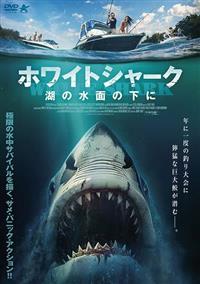 �z���C�g�V���[�N�@�΂̐��ʂ̉���