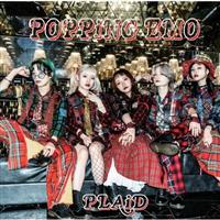 PLAiD<Type-E>