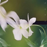 �yMAXI�z�ЂƂ育��(�}�L�V�V���O��)