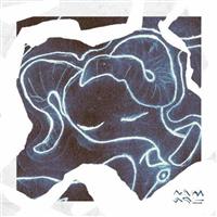 �����̌��L