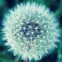 ������