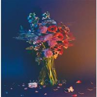 �}�W�b�N�A���[(�ʏ��)