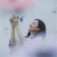 �A�l���l(�ʏ��)